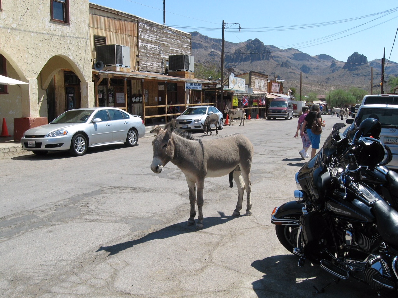 Oatman is a town in the Black Mountains of Mohave County, Arizona.