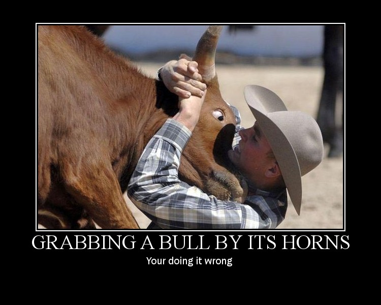 Grab the bull by its horns - Picture | eBaum's World