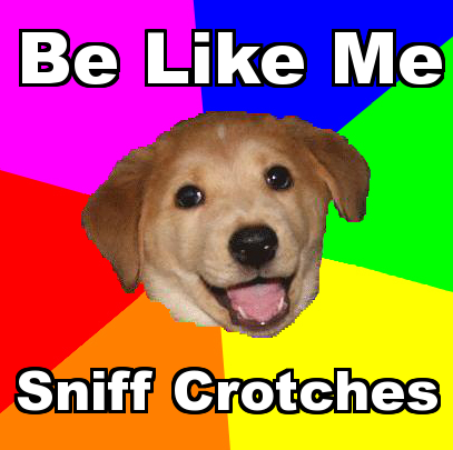 Sniff Crotches