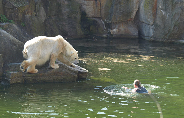 Polar Bear Mauls Woman Intruder