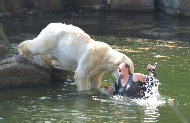 Polar Bear Mauls Woman Intruder