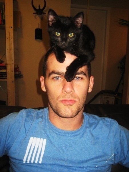 Cat Hats - Put a Cat on It