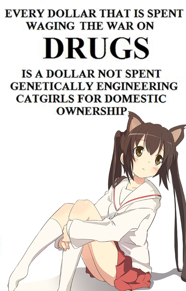 war on drugs catgirls - Every Dollar That Is Spent Waging The War On Drugs Is A Dollar Not Spent Genetically Engineering Catgirls For Domestic Ownership