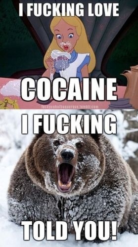 love cocaine - I Fucking Love Cocaine Fucking Told You!