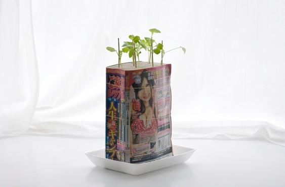 Magazine planters