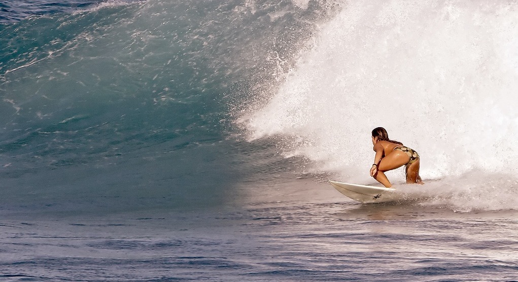 Harry bryant's utopian vision for the future of surfing