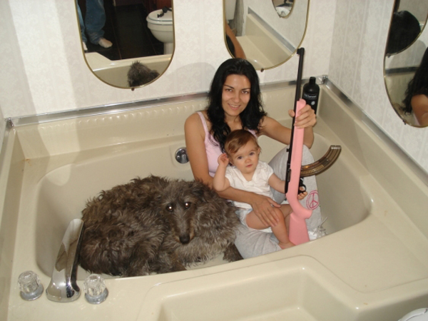 funny family pics with there pets