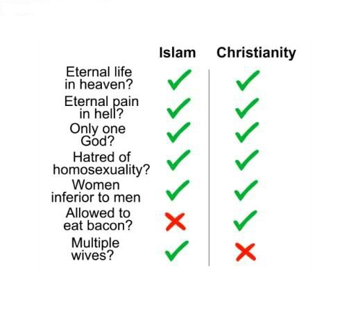 Something for everyone...