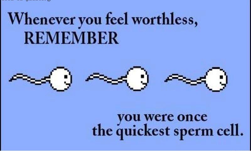 Something for everyone...