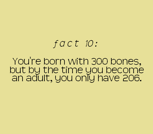 Tiny and fun facts