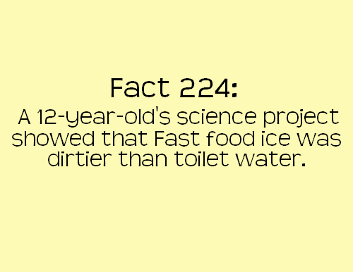 Fact 224 A 12yearold's science project showed that Fast food ice was dirtier than toilet water.