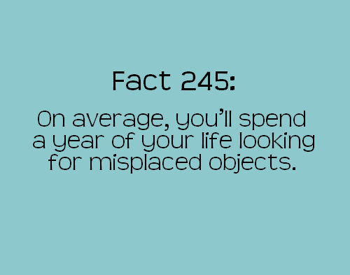 number - Fact 245 On average, you'll spend a year of your life looking for misplaced objects.