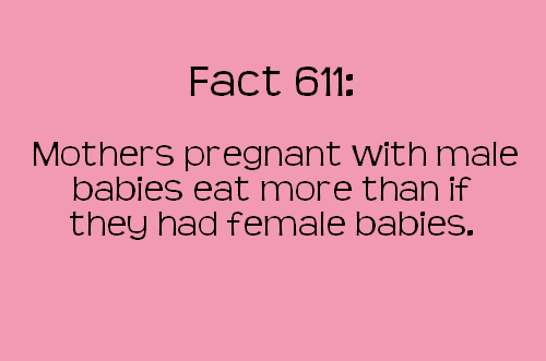 Fun Facts