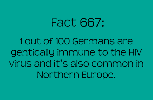 More Fun Facts