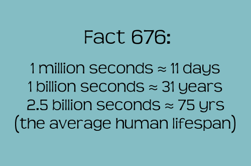 More Fun Facts