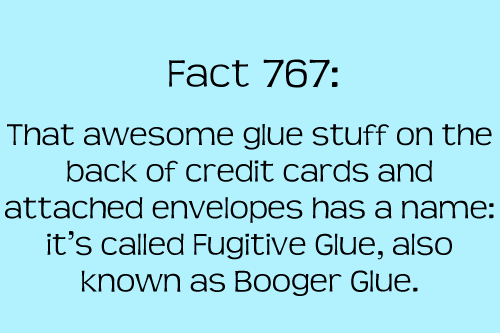 Fun and Interesting Facts