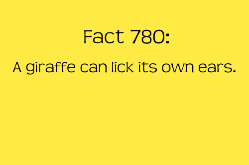 Fun and Interesting Facts