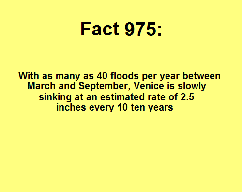 Fun Facts and More