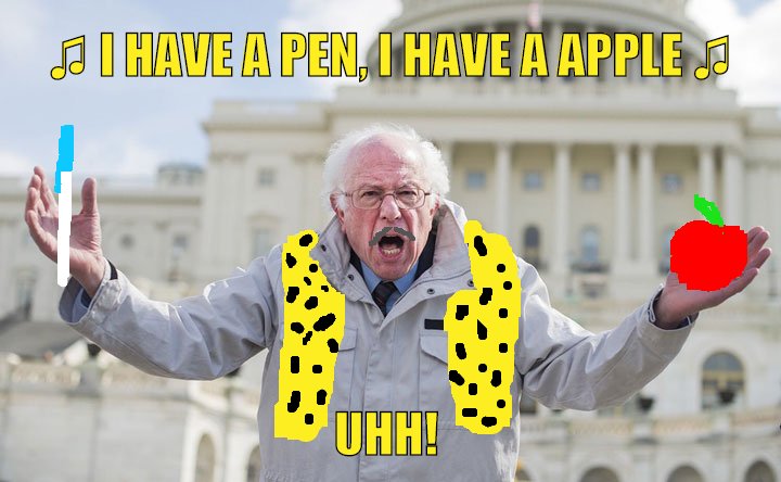 Bernie does PPAP to become internet sensation.