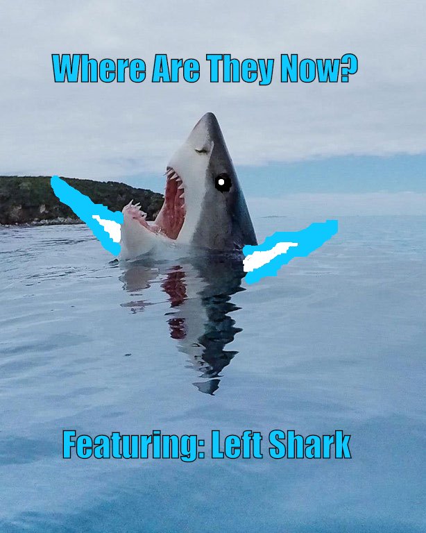Left shark is the best shark.