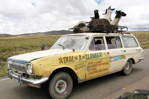 You can't fit a single llama in a Stratus. Trust me.