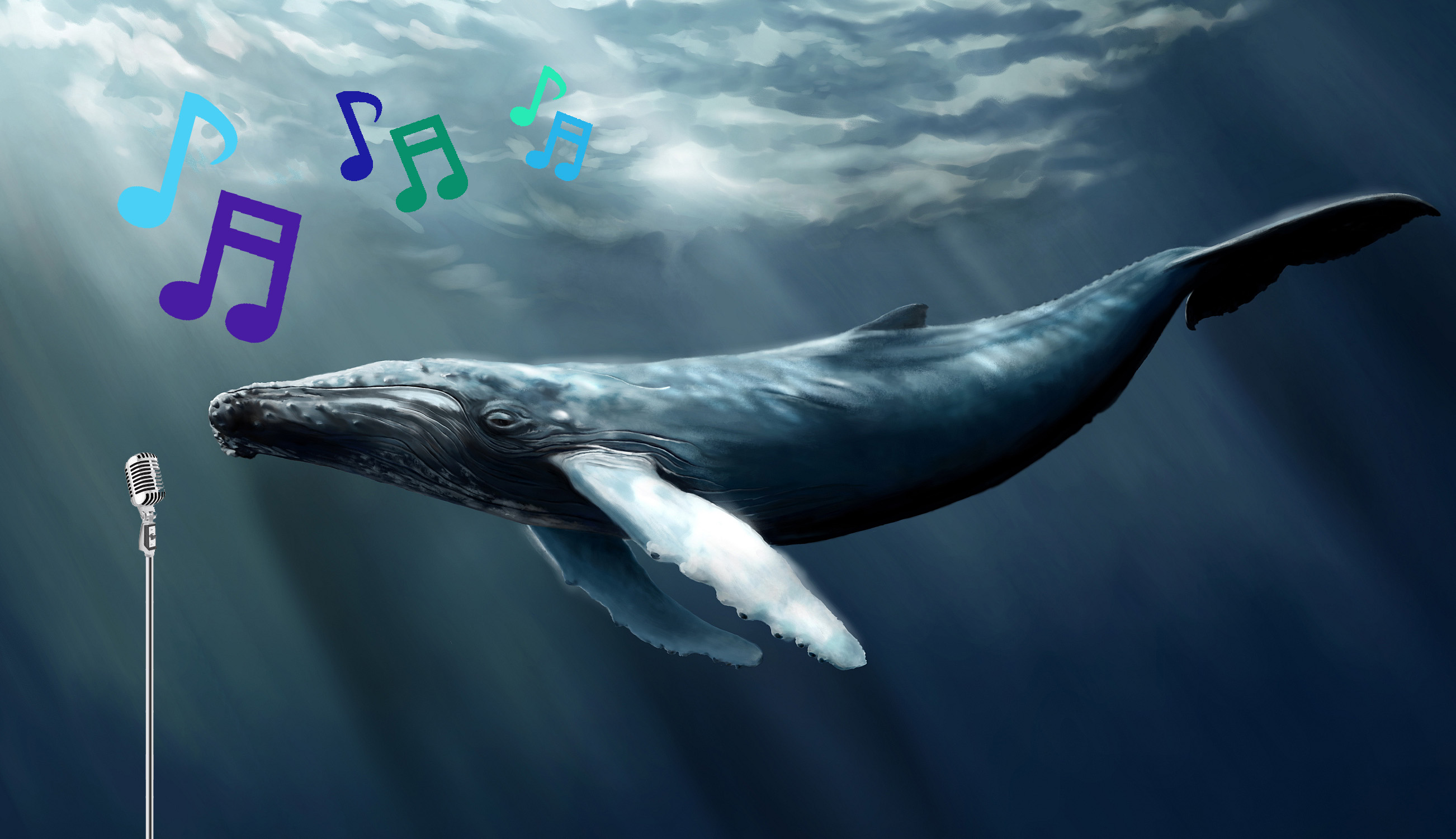 Humpback whales have pop music.