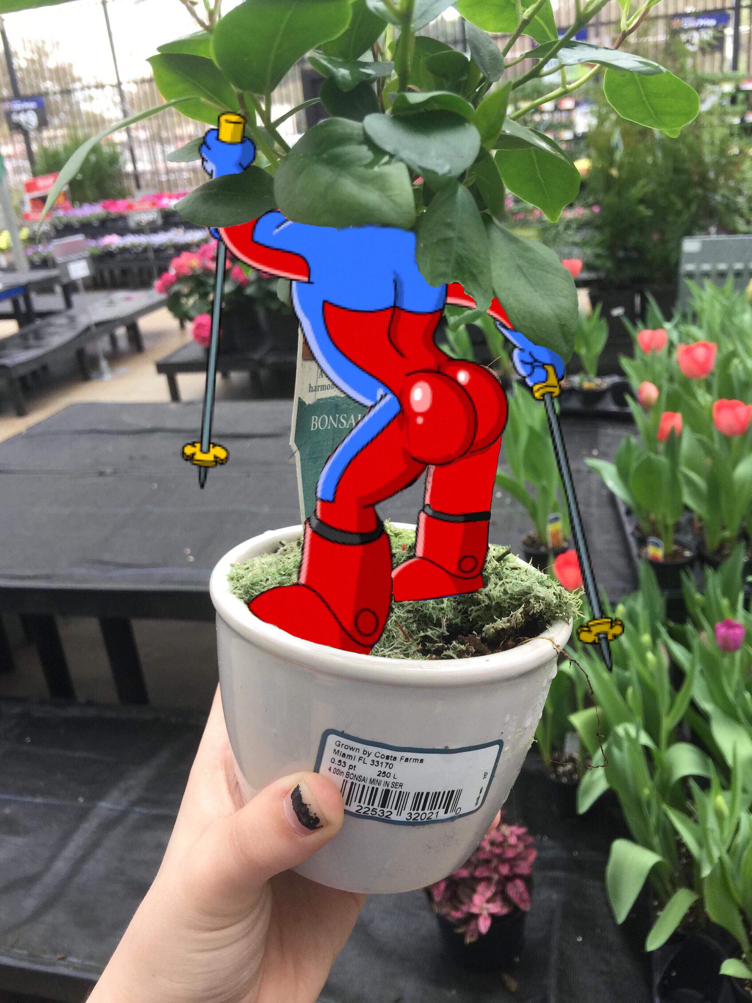 reddit memes - sexy plant