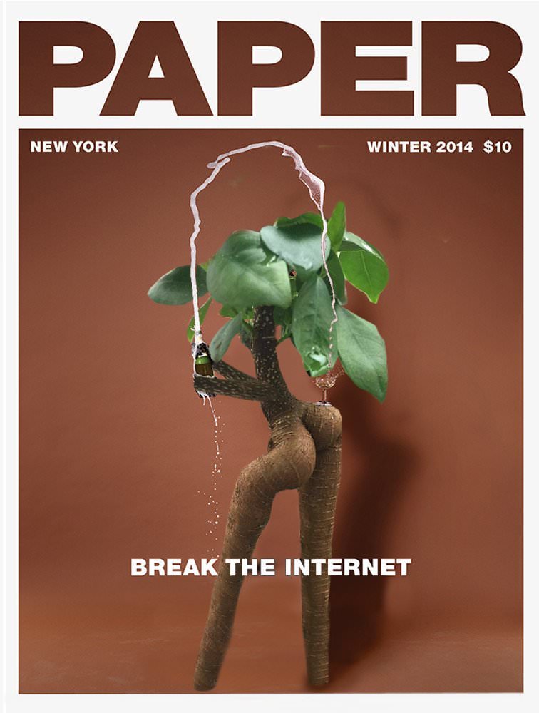 reddit memes - paper magazine editorial - Paper New York Winter 2014 $10 Break The Internet
