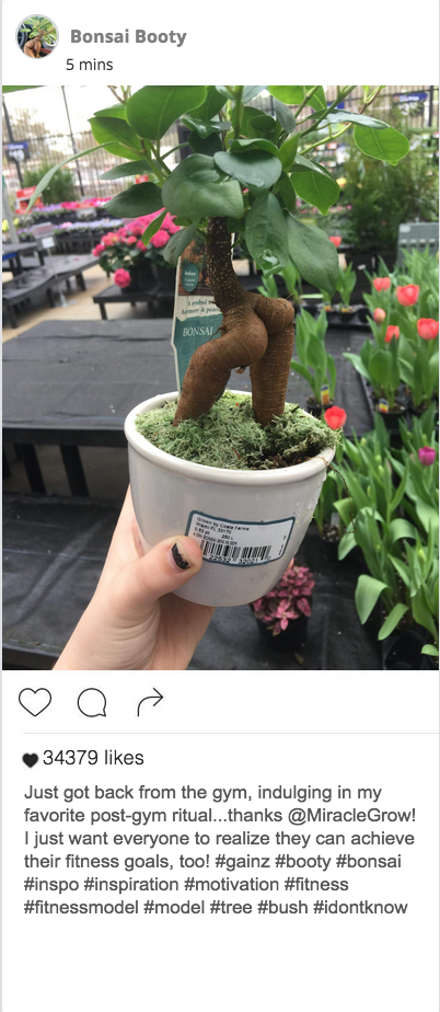 reddit memes - sexy plant - Bonsai Booty 5 mins 34379 Just got back from the gym, Indulging in my favorite postgym ritual...thanks I just want everyone to realize they can achieve their fitness goals, tool motivation