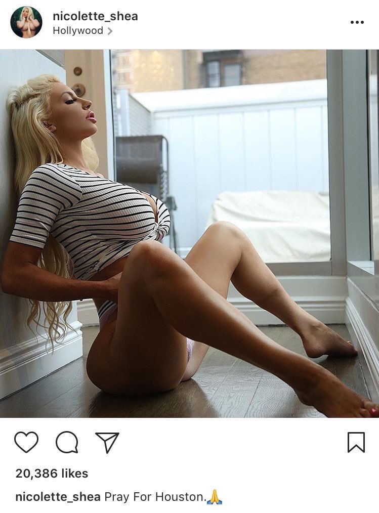 8 Pics of Nicolette Shea That Leave You Begging For More