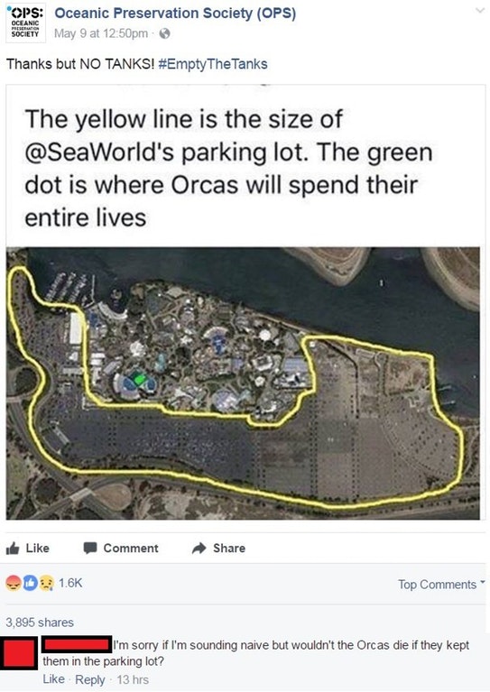 seaworld parking lot vs orca - Oceanie Ops Oceanic Preservation Society Ops Society May 9 at pm Thanks but No Tanks! Tanks The yellow line is the size of 's parking lot. The green dot is where Orcas will spend their entire lives Comment Top 3,895 I'm sorr