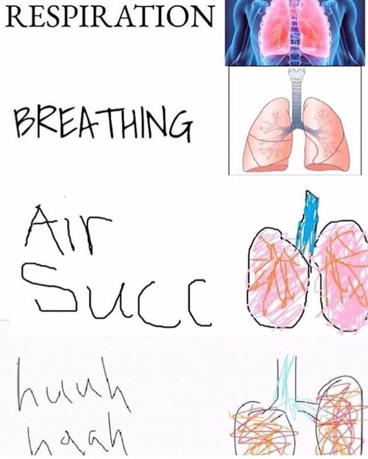 dank meme air succ - Respiration Ed Breathing Air Succa hunh haah