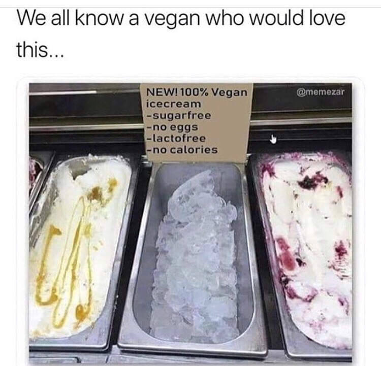 dank meme vegan ice cream meme - We all know a vegan who would love this... New! 100% Vegan icecream sugarfree no eggs lactofree no calories