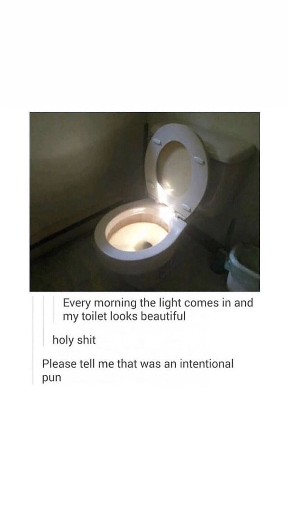 dank meme lighting shit - Every morning the light comes in and my toilet looks beautiful holy shit Please tell me that was an intentional pun