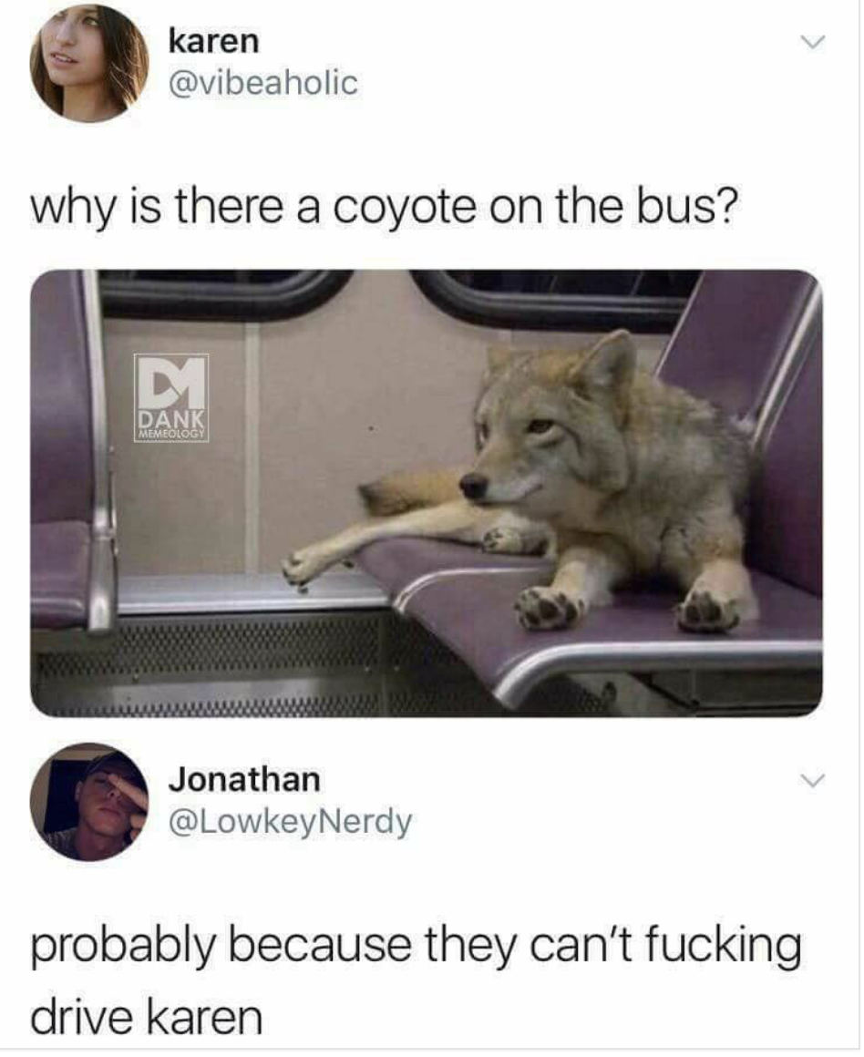 dank meme there a coyote on the bus - karen why is there a coyote on the bus? Dank Jonathan probably because they can't fucking drive karen