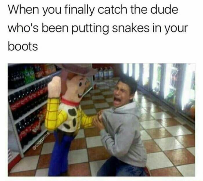 dank meme funny memes - When you finally catch the dude who's been putting snakes in your boots edabmoms