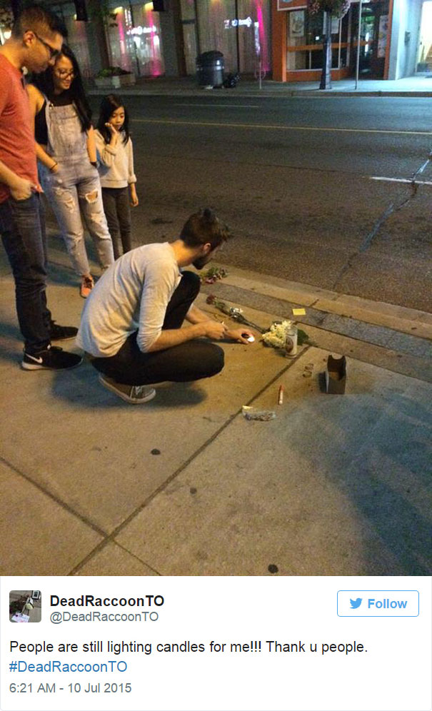 That Time a Dead Raccoon In Canada Became A Viral Sensation