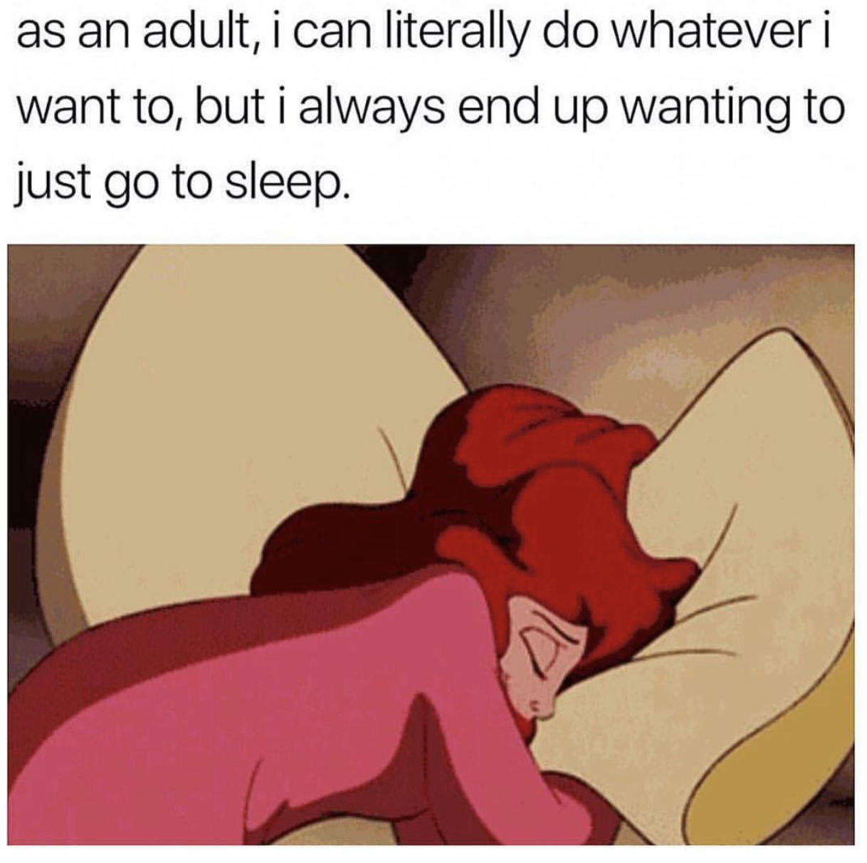 meme adult sleep - as an adult, i can literally do whatever i want to, but i always end up wanting to just go to sleep.