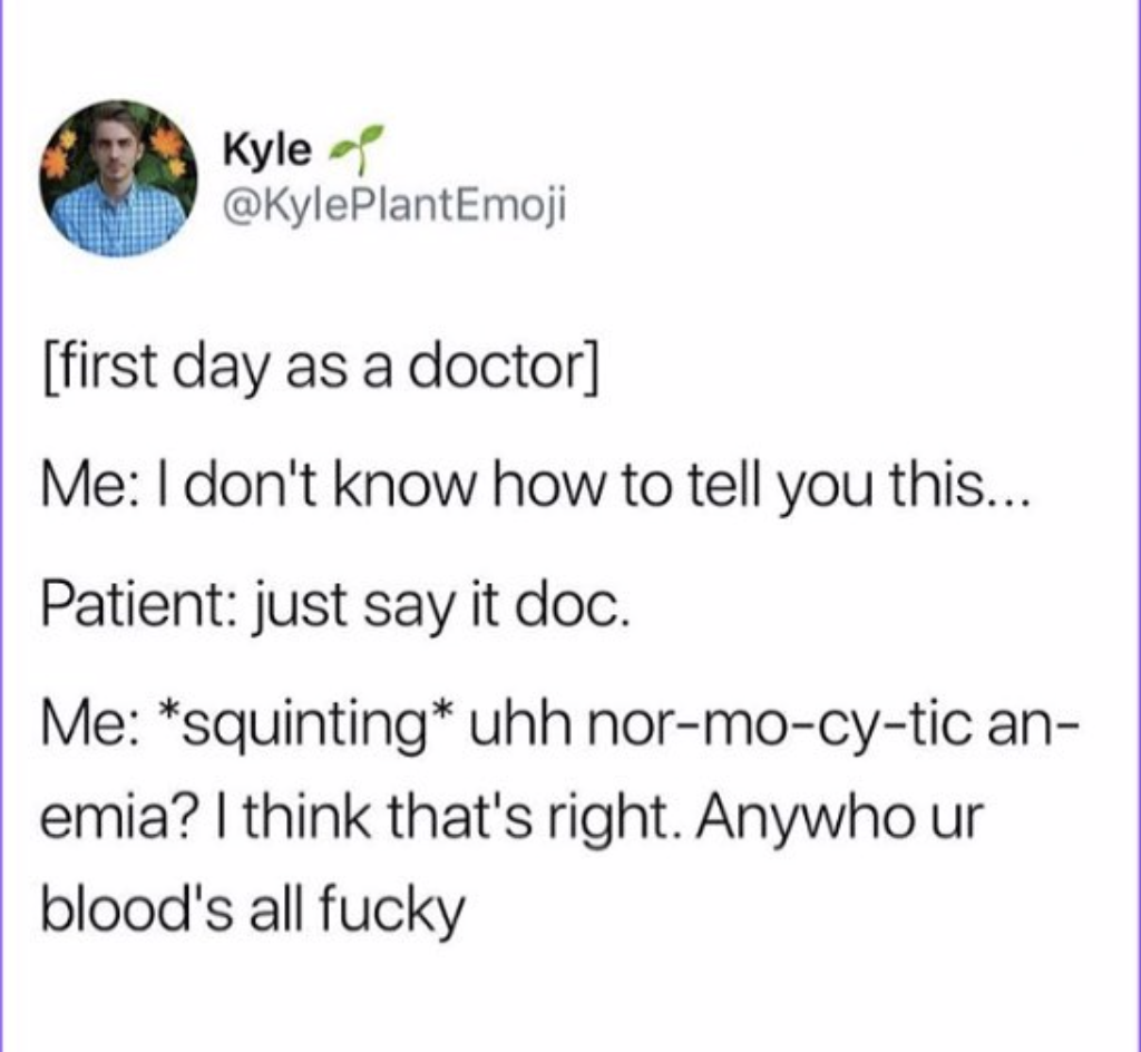 document - Kyle first day as a doctor Me I don't know how to tell you this... Patient just say it doc. Me squinting uhh normocytic an emia? I think that's right. Anywho ur blood's all fucky