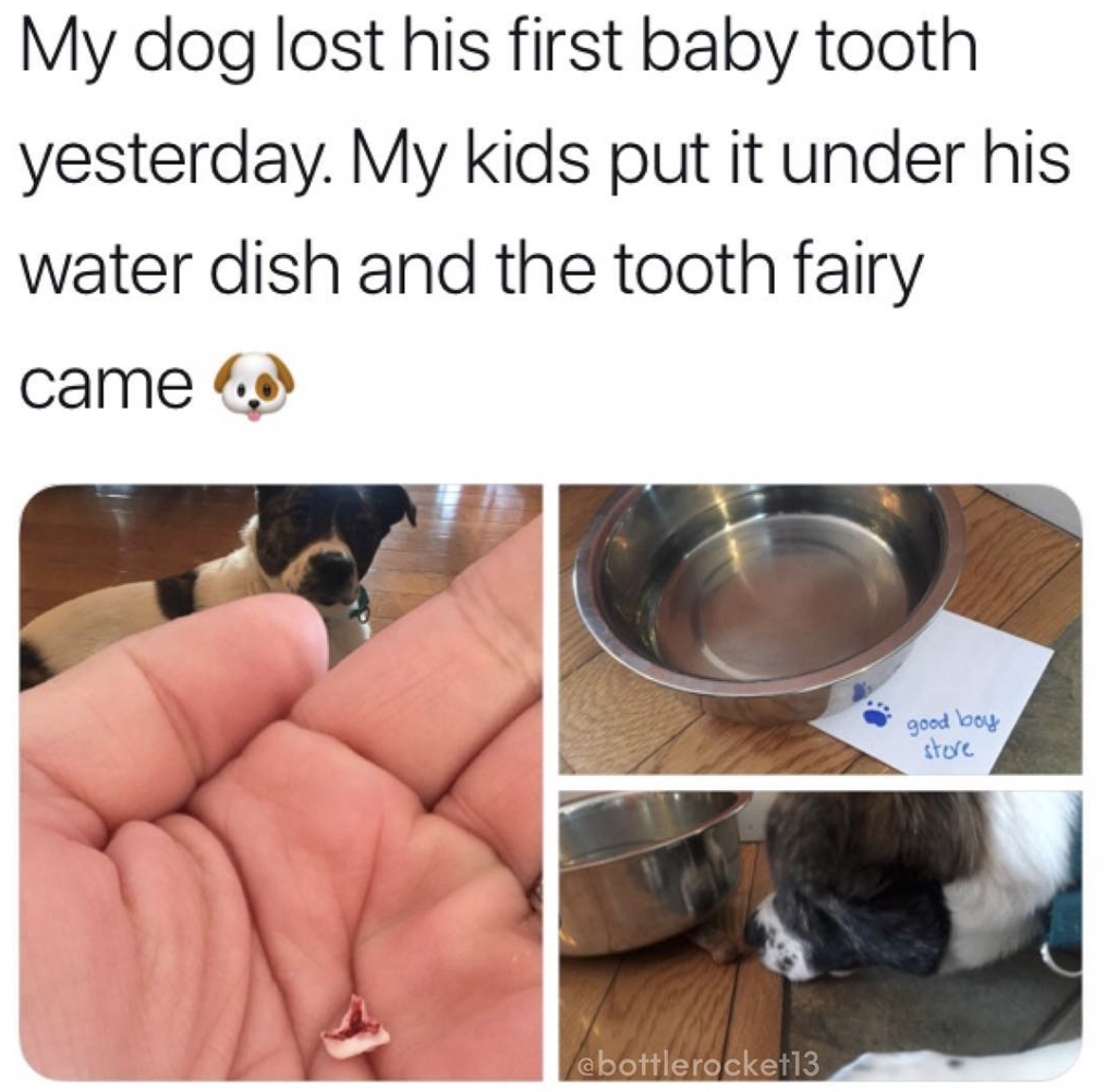 50 Wholesome Pics To Give You The Feels