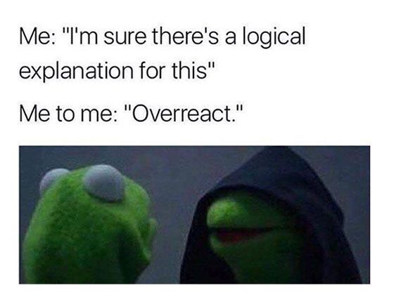 relationship meme - kermit with hood meme - Me I'm sure there's a logical explanation for this Me to me Overreact.