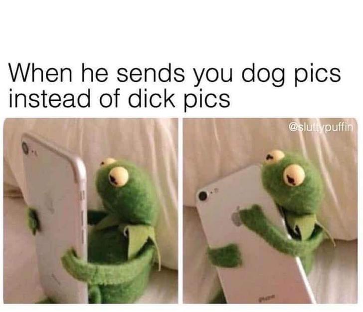 relationship meme - love memes - When he sends you dog pics instead of dick pics