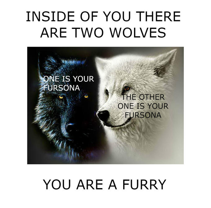 inside of you there are two wolves furry - Inside Of You There Are Two Wolves One Is Your Fursona The Other One Is Your Fursona You Are A Furry