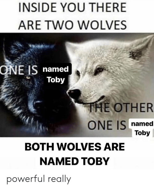 inside you are two wolves gay - Inside You There Are Two Wolves One Is named Toby Se The Other One Is named Toby Both Wolves Are Named Toby powerful really