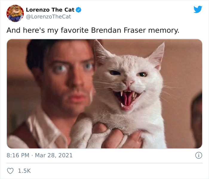 brendan fraser cat mummy - Lorenzo The Cat TheCat And here's my favorite Brendan Fraser memory.