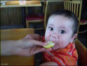 baby eating lemons gif - Jj.Am