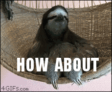 no sloth gif - How About 4GIFs.com