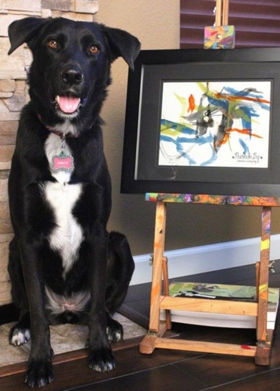 This dog painted this