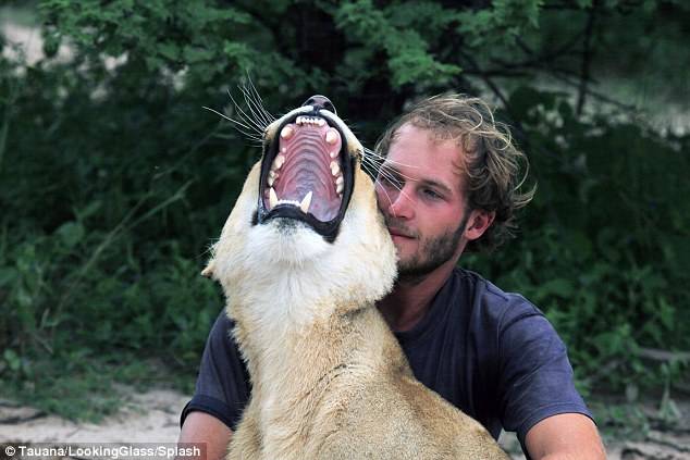 A Man and His Lioness