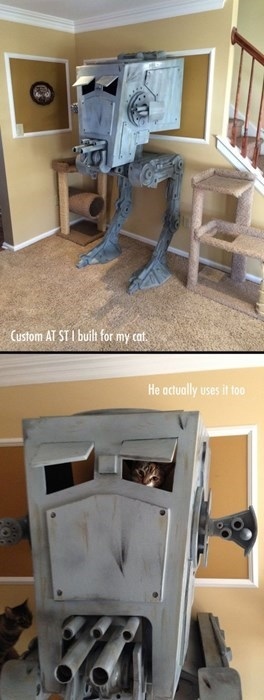 star wars cat furniture - Custom At St I built for my cat. He actually uses it too